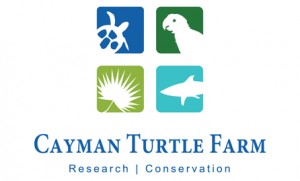 Turtle Conservation Logo-color