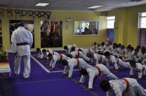 Purple Dragon, Martial Arts Cayman Islands, Professor Don Jacob, Prof Jacob